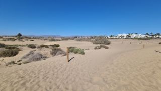 2023-GC--Mapalomas dunas-S123-113.jpg